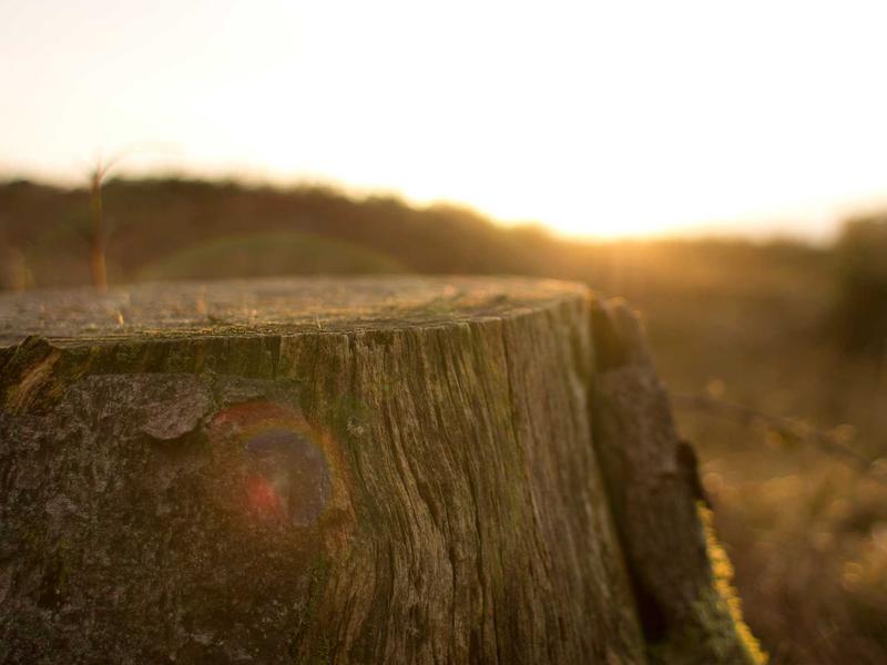 sudoku relaxation mode screenshot 4