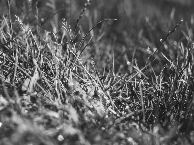 sudoku relaxation mode screenshot 6